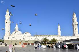 حج / فضل "مسجد قباء" وتاريخه الإسلامي يجذب ضيوف الرحمن