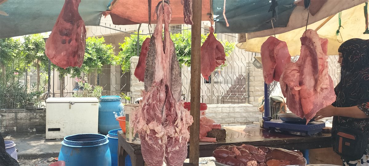 أسعار حلويات اللحوم في مدبح السيدة زينب