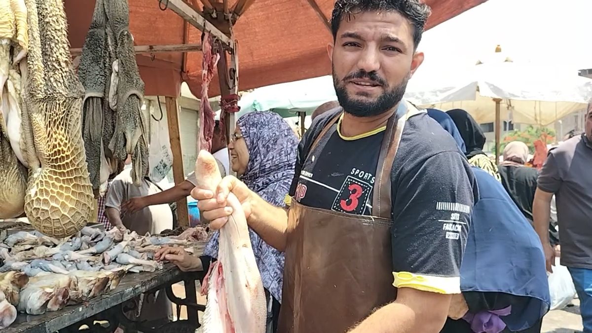 أسعار الحلويات واللحم الضأن في مدبح السيدة زينب 