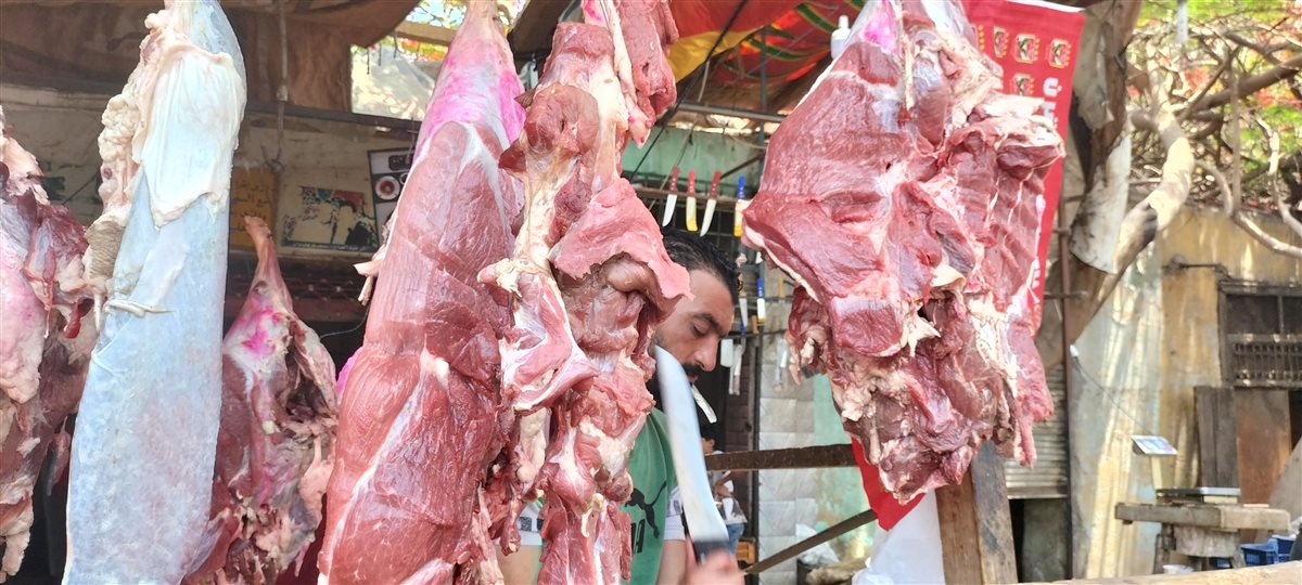 أسعار اللحوم البلدي في مدبح السيدة زينب
