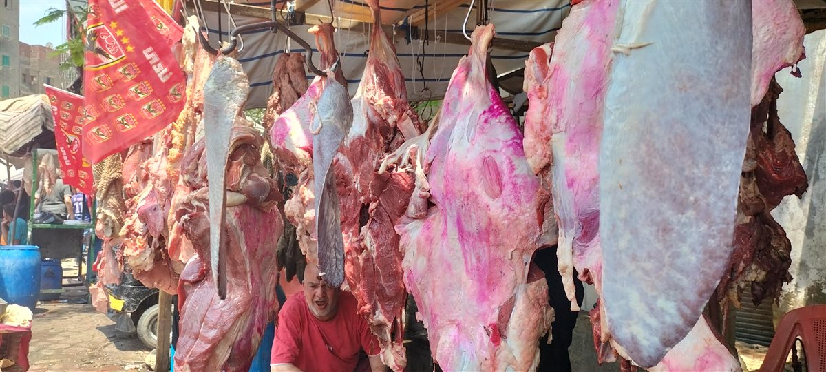 أسعار اللحوم البلدي في مدبح السيدة زينب