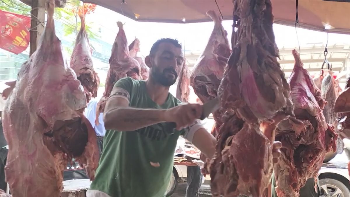 أسعار اللحوم البلدي في مدبح السيدة زينب