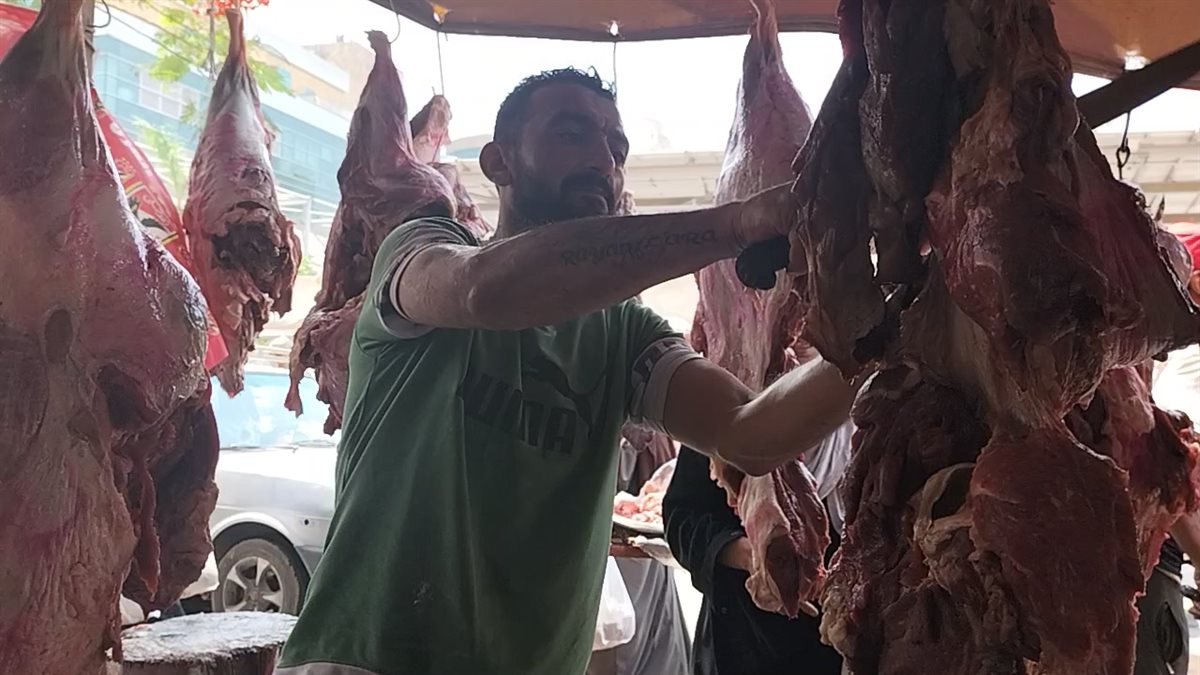 أسعار اللحوم البلدي في مدبح السيدة زينب