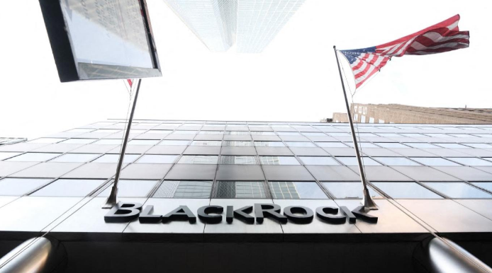 بلاك روك تعمل في التريليونات، فيتو