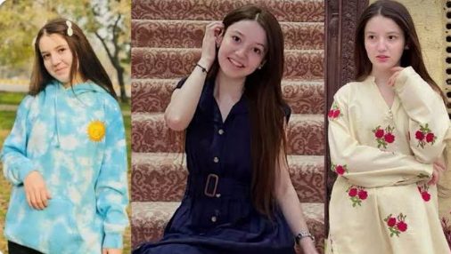 مقتل التيك توكر سناء يوسف، فيتو