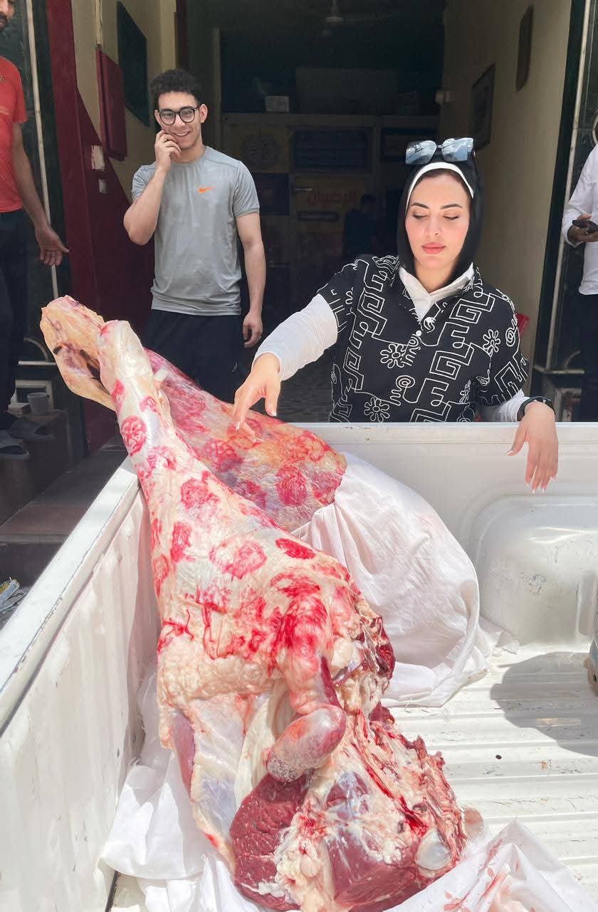 جانب من الحملات، فيتو