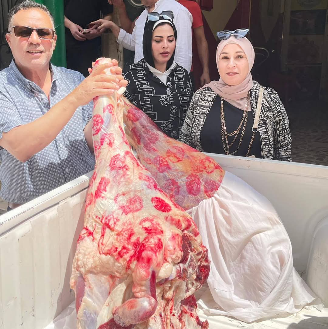 جانب من الحملات، فيتو