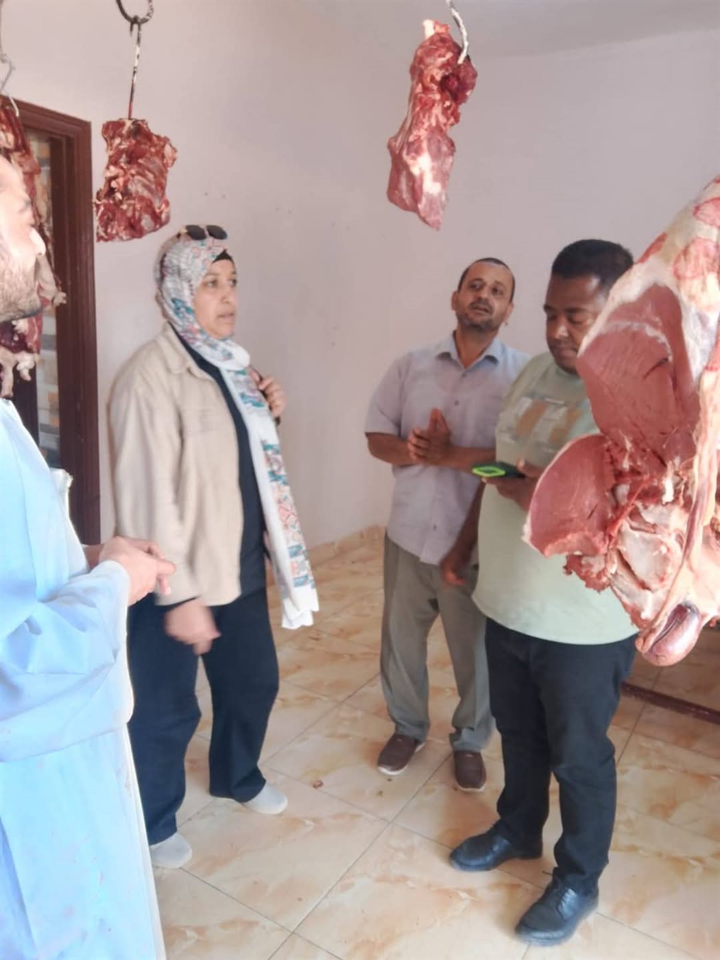 جانب من الحملات، فيتو