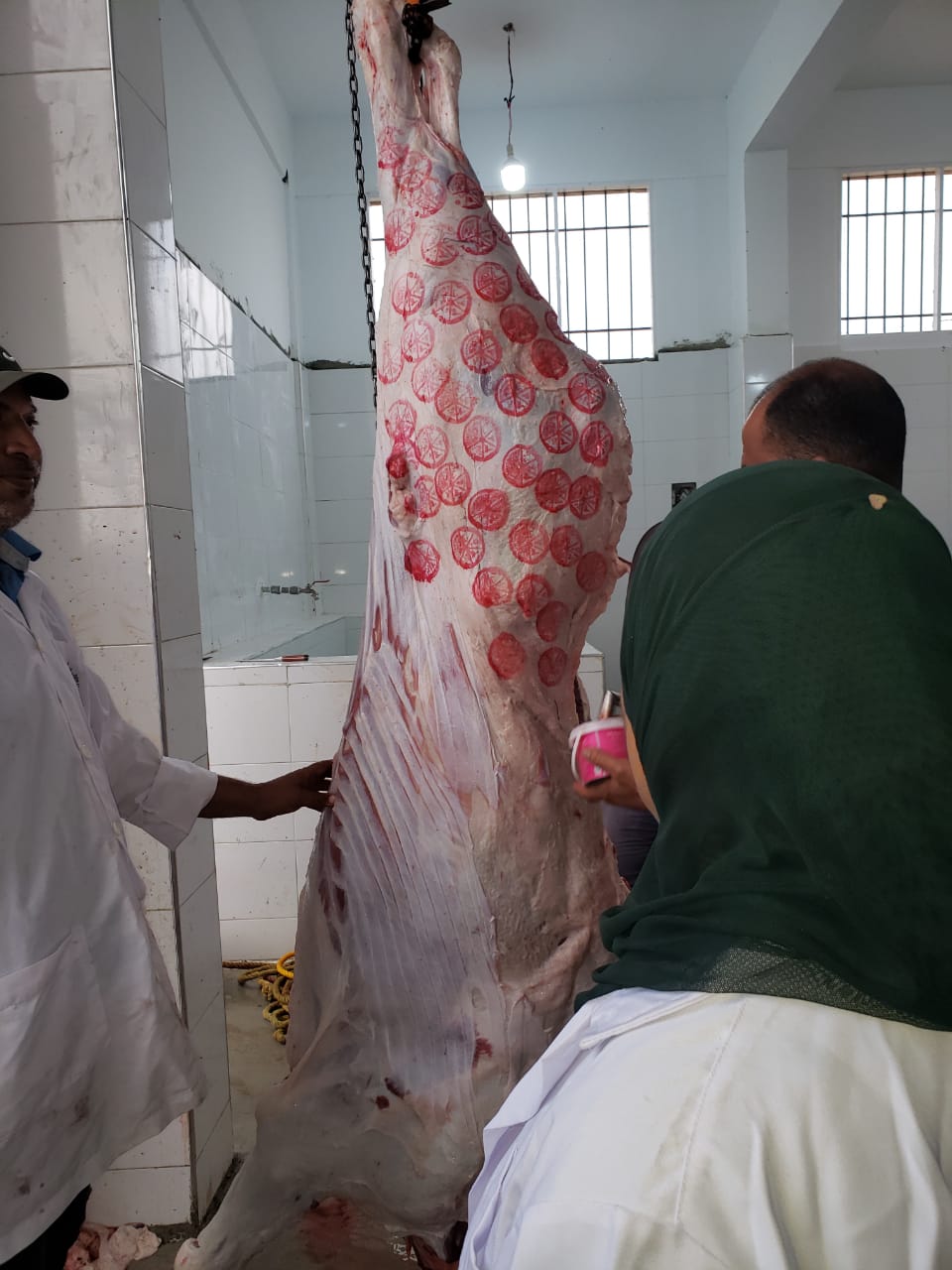 جانب من المرور على المجازر،فيتو