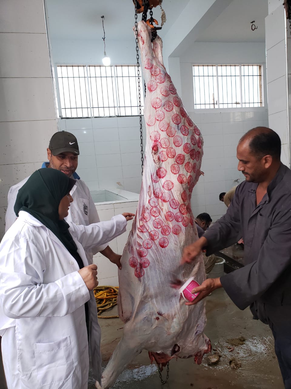 جانب من المرور على المجازر،فيتو