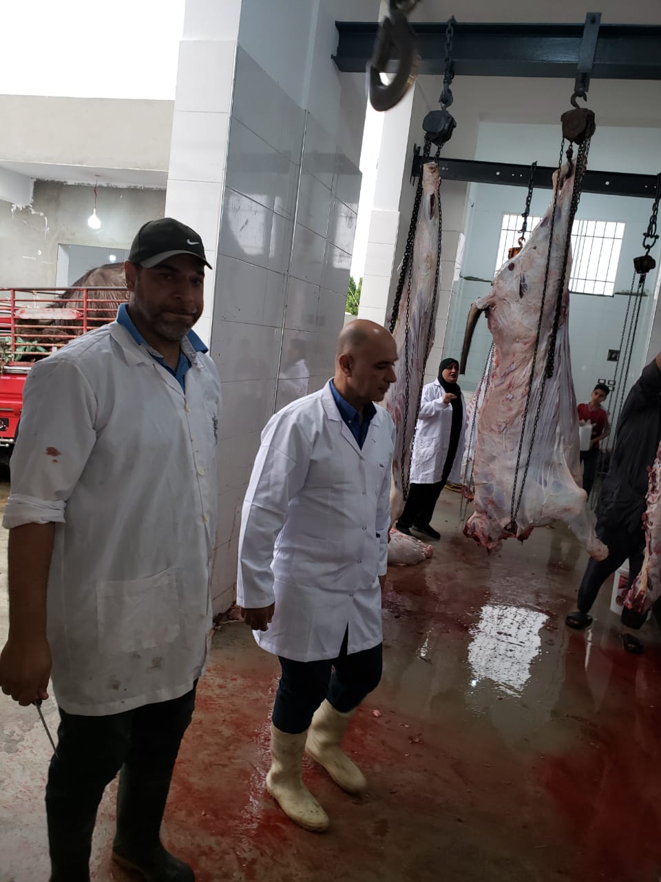 جانب من المرور على المجازر،فيتو