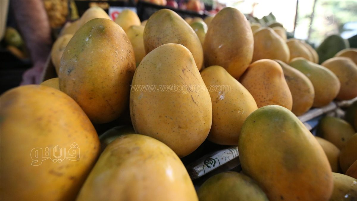 <strong>سعر المانجو اليوم في سوق العبور، فيتو</strong>