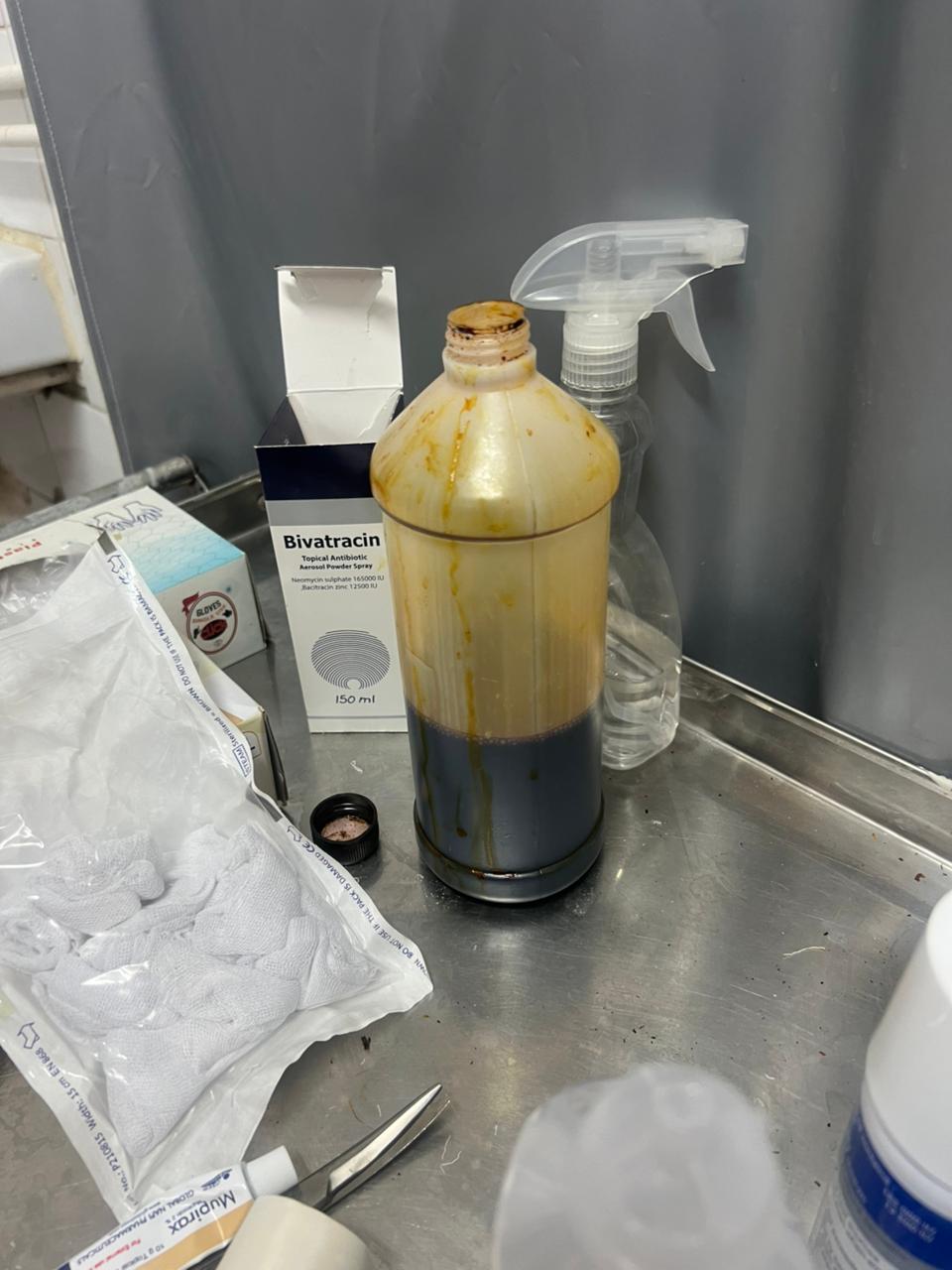 جانب من الحملات، فيتو