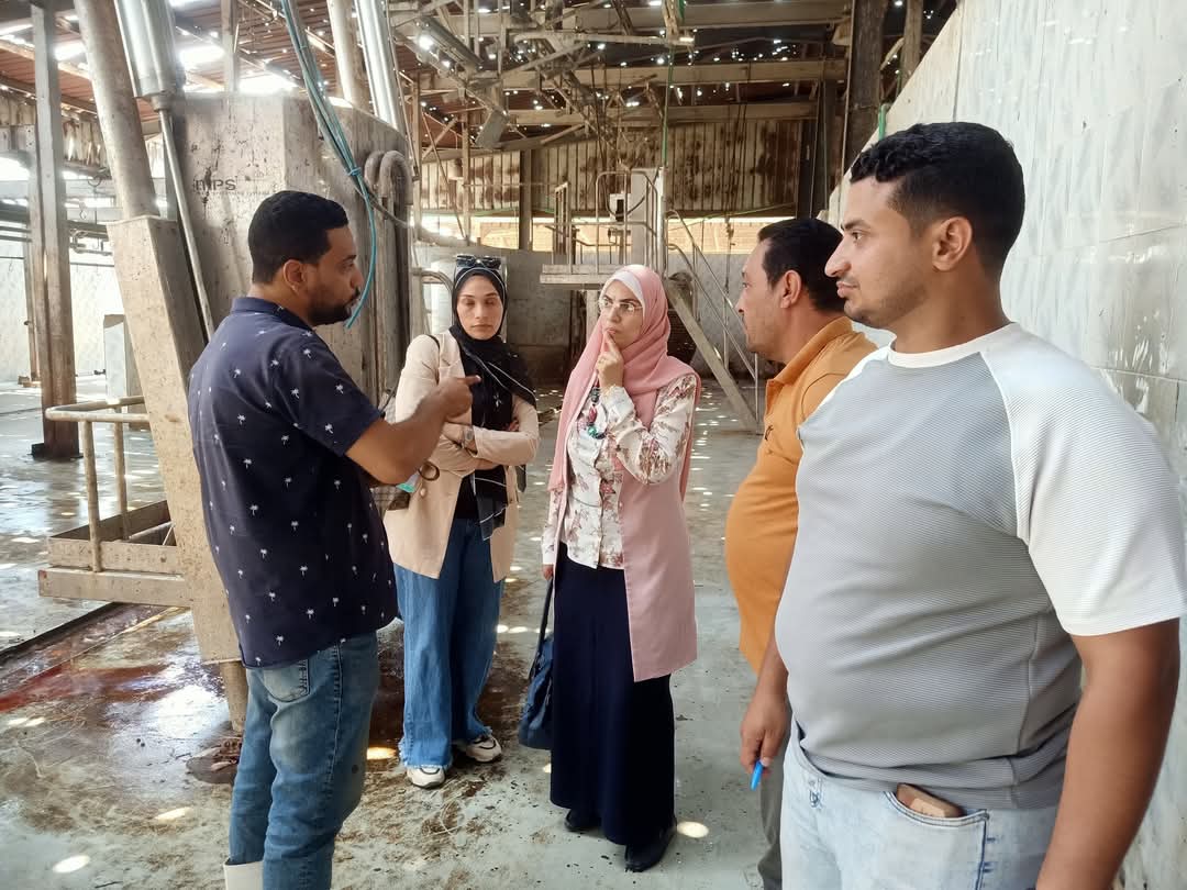 جانب من الحملات، فيتو