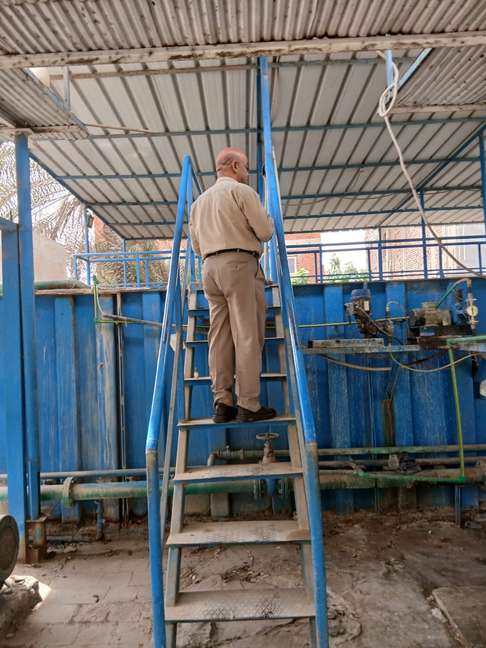 جانب من الحملات، فيتو