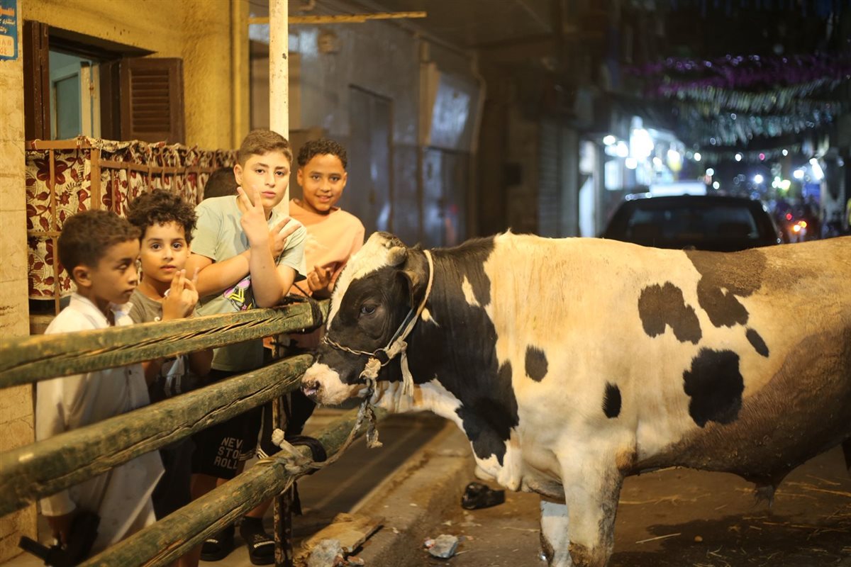 منطقة الزاوية الحمراء تستعد لاستقبال عيد الأضحى