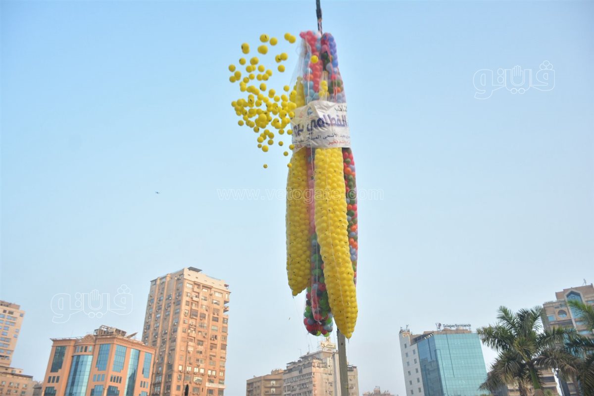 فرحة بساحة مسجد مصطفى محمود (17)