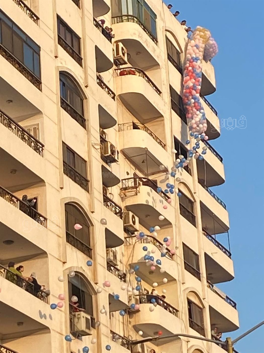 بالونات الفرحة تغطى سماء بورفؤاد، فيتو