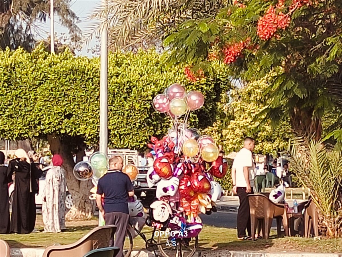 منطقة نمرة 6 في الإسماعيلية، فيتو