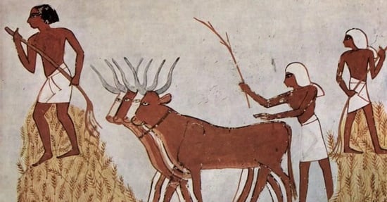 الكباش على جدران المعابد القديمة 