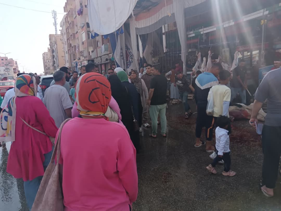 جانب من الحملات، فيتو