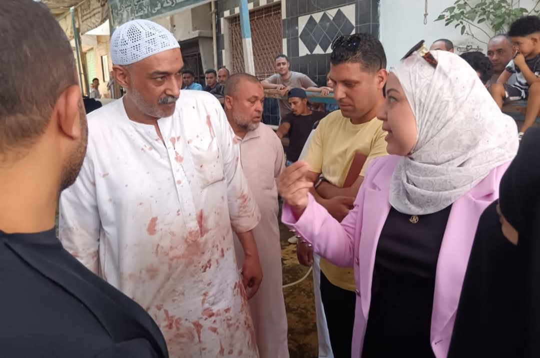 جانب من الحملات، فيتو