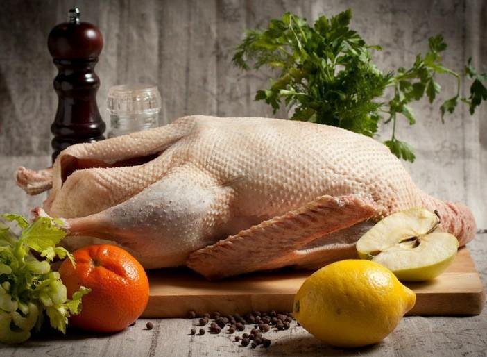 <strong>أسعار البط</strong>