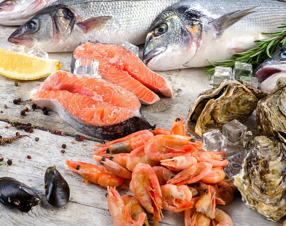 <strong>سعر السمك اليوم</strong>