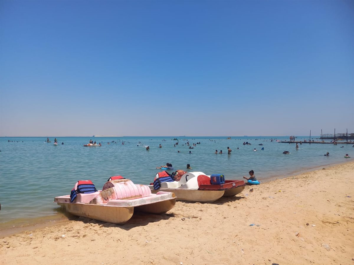 جانب من أعمال اللجنة، فيتو