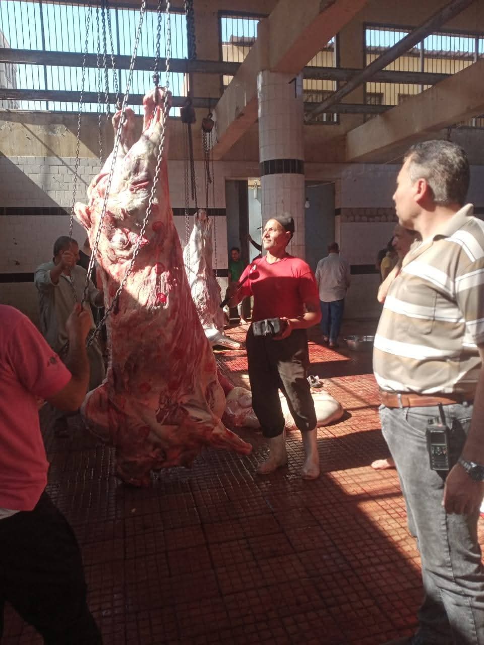 حملات النظافة ومكافحة الحشرات خلال عيد الأضحى بمراكز ومدن دمياط