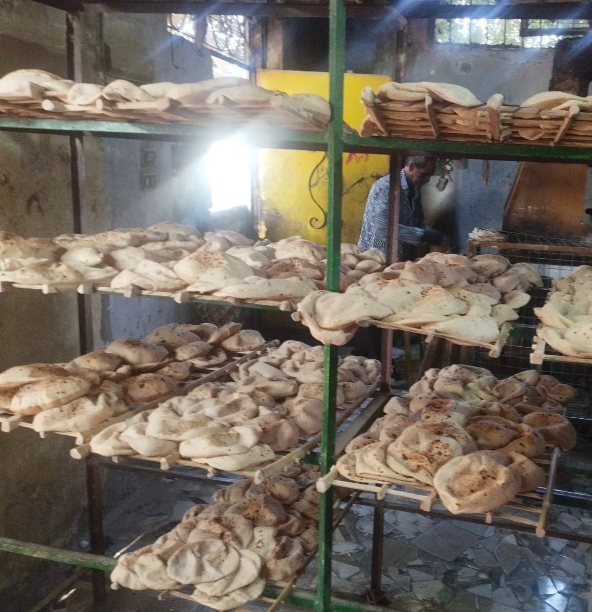 جانب من الحملات، فيتو