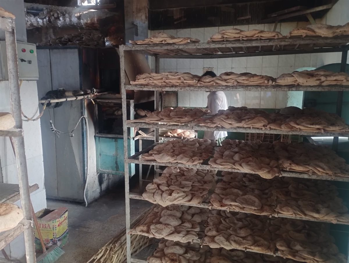 جانب من الحملات، فيتو