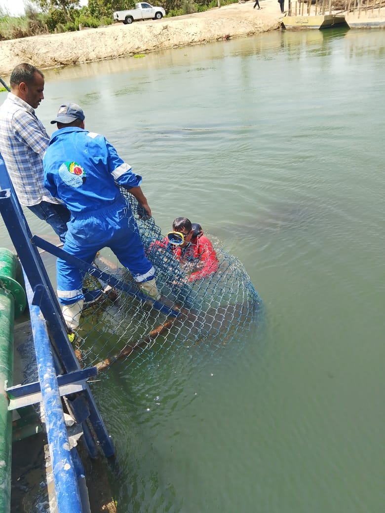 جانب من أعمال التركيب، فيتو