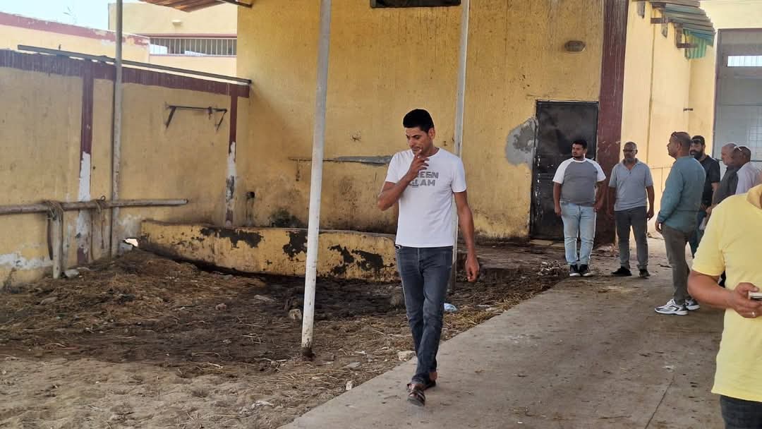 جانب من الحملات،فيتو