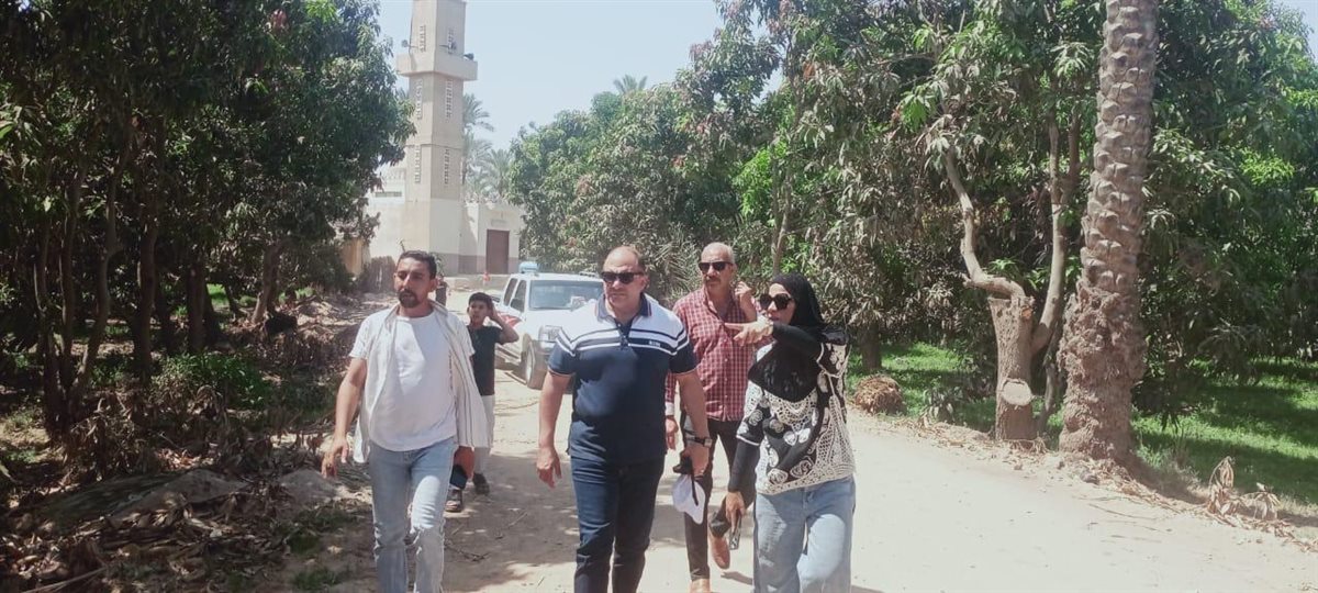 جانب من أعمال الإزالات، فيتو