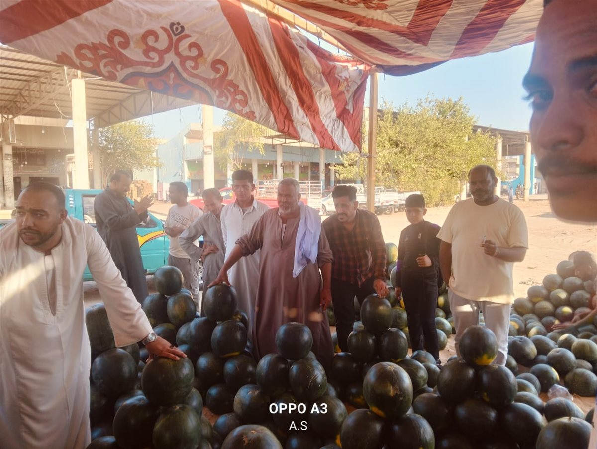 جانب من مزاد البطيخ بسوق المستقبل بالإسماعيلية، فيتو