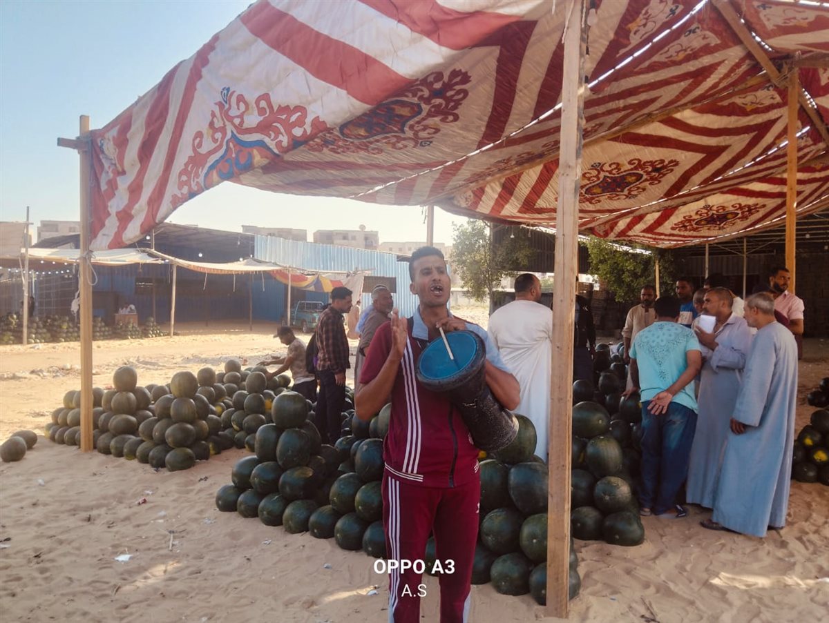 جانب من مزاد البطيخ بسوق المستقبل بالإسماعيلية، فيتو