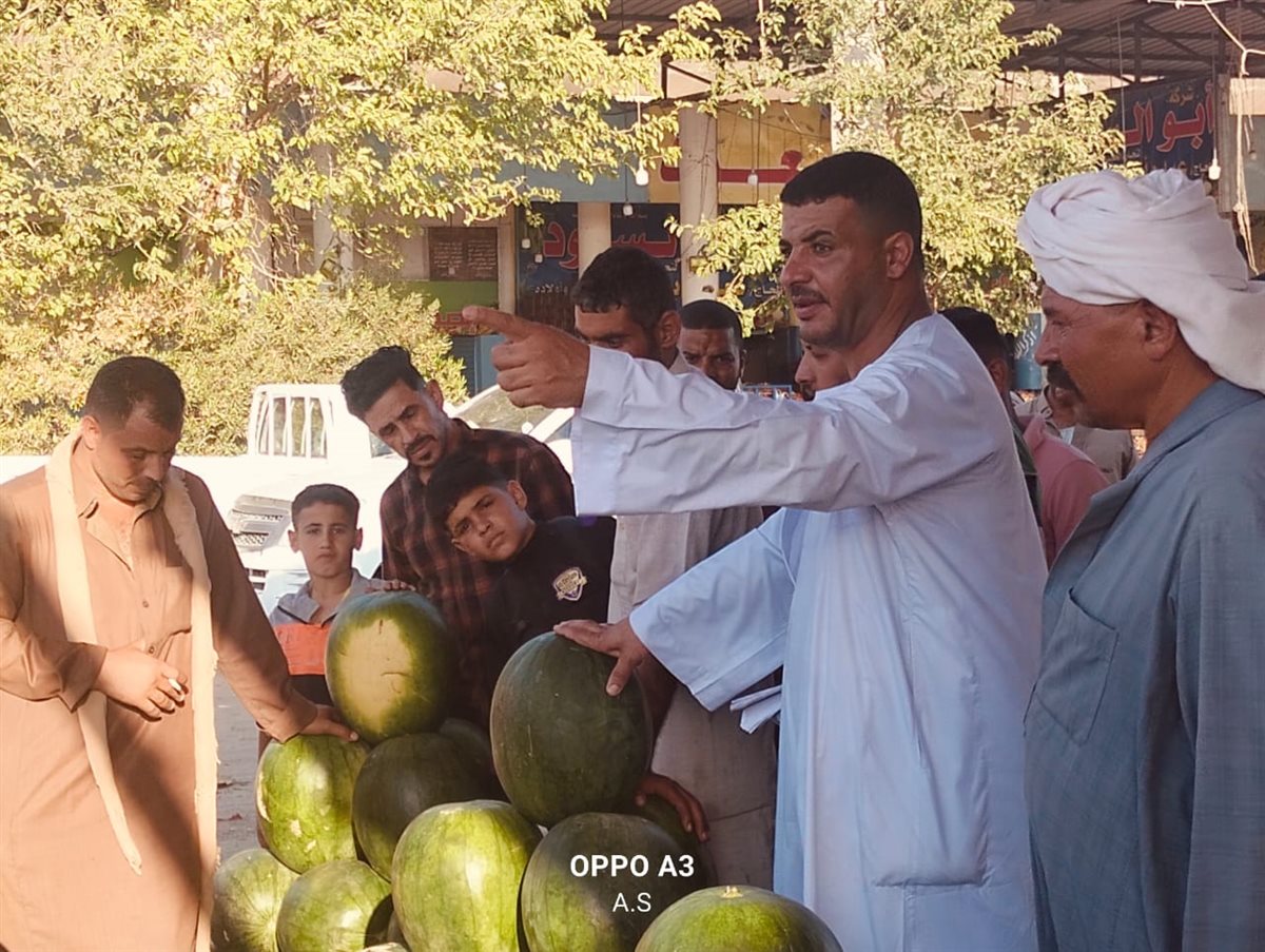 جانب من مزاد البطيخ بسوق المستقبل بالإسماعيلية، فيتو