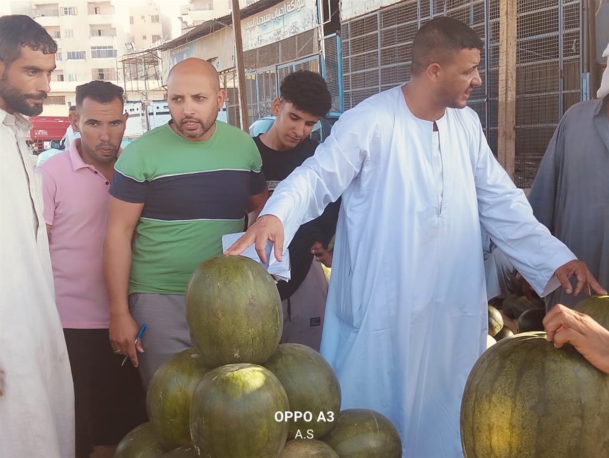 جانب من مزاد البطيخ بسوق المستقبل بالإسماعيلية، فيتو
