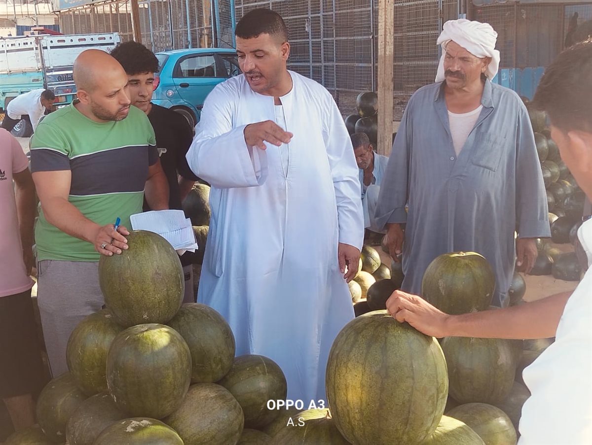 جانب من مزاد البطيخ بسوق المستقبل بالإسماعيلية، فيتو