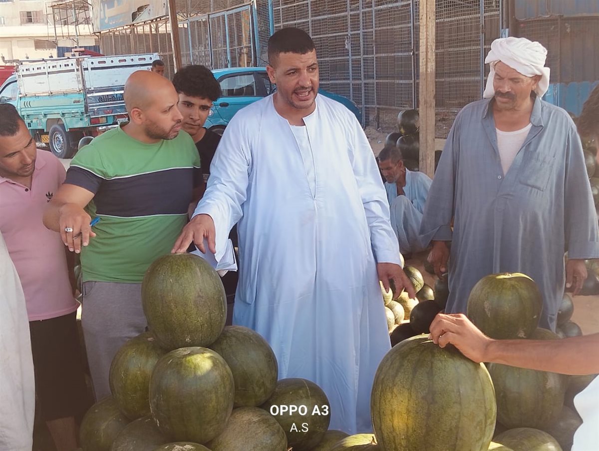 جانب من مزاد البطيخ بسوق المستقبل بالإسماعيلية، فيتو