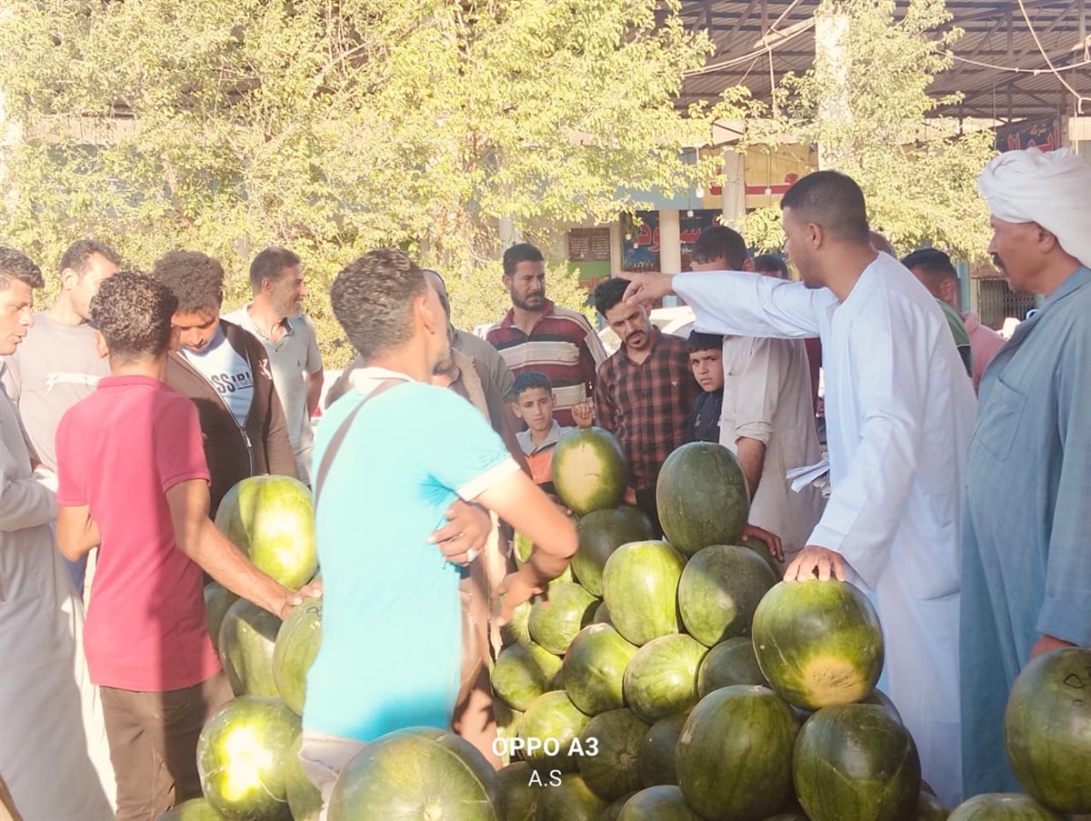 جانب من مزاد البطيخ بسوق المستقبل بالإسماعيلية، فيتو