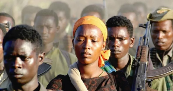 تصاعد العنف المسلح في إثيوبيا، فيتو