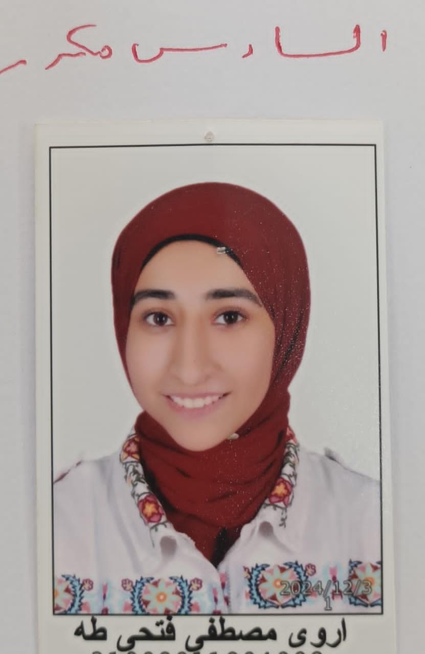 إعلان نتيجة الشهادة الإعدادية، فيتو 