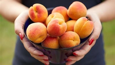 فوائد المشمش للصحة