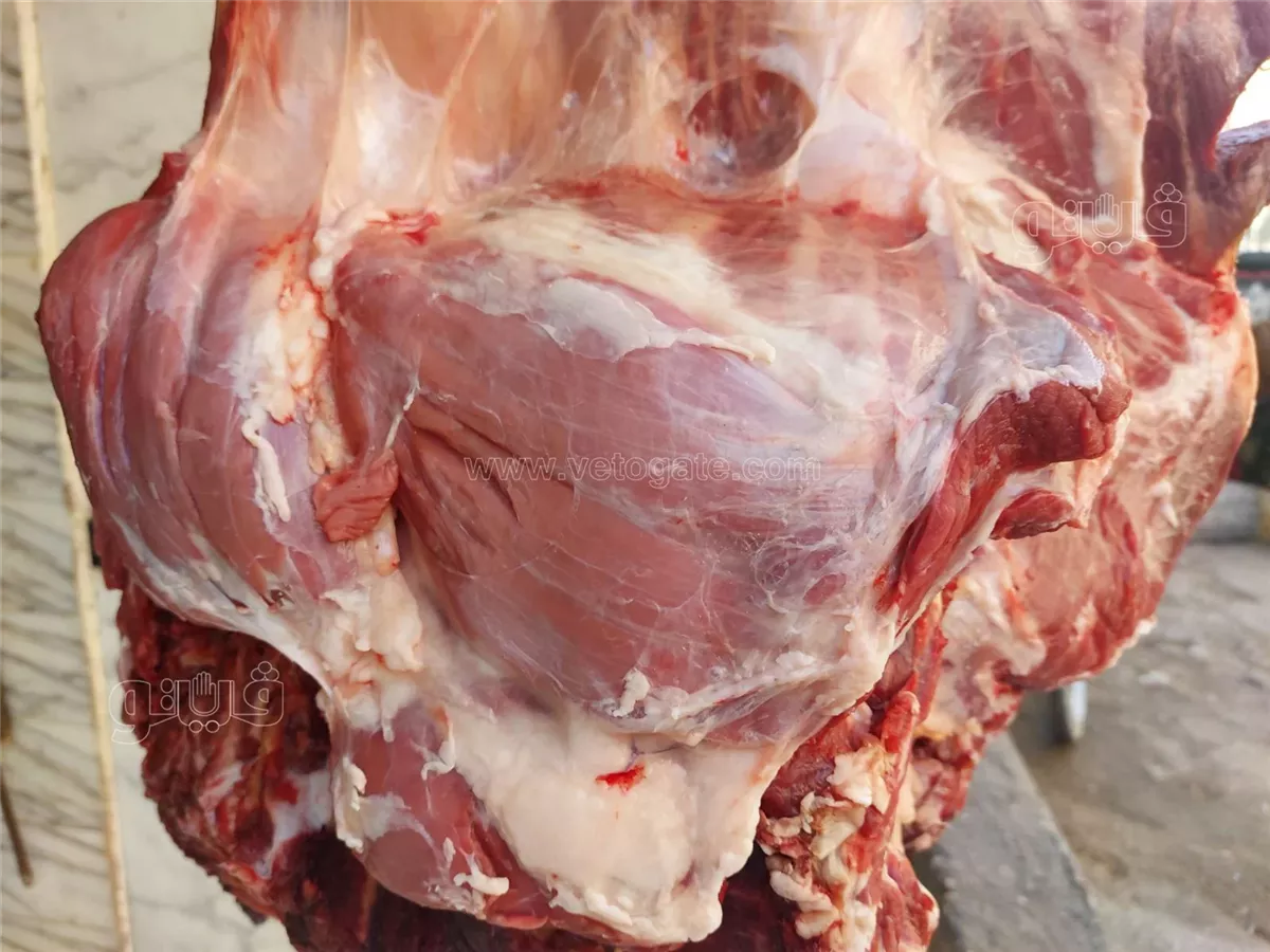 <strong>أسعار اللحمة، فيتو</strong>