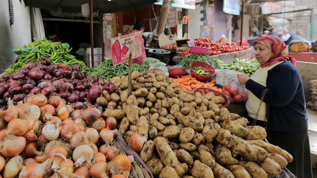 أسعار الخضار 