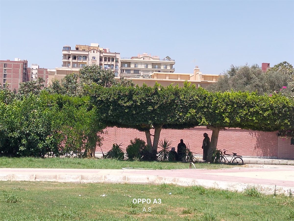 الأمهات خلال انتظار ابنائهن، فيتو