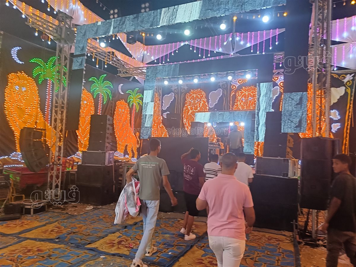 حنة ناصر منسي،فيتو