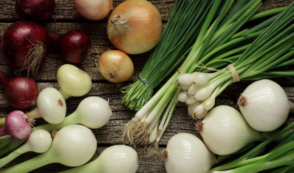 فوائد البصل للصحة 